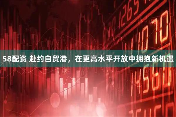 58配资 赴约自贸港，在更高水平开放中拥抱新机遇