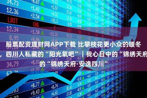 股票配资理财网APP下载 比攀枝花更小众的暖冬秘境！德昌，四川人私藏的“阳光氧吧”｜我心目中的“锦绣天府·安逸四川”
